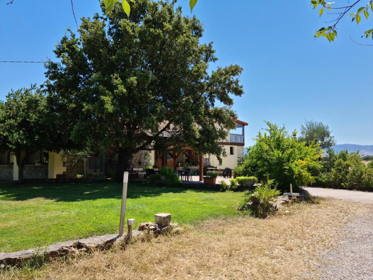 Agriturismo Sa Pigalva Tula Екстериор снимка