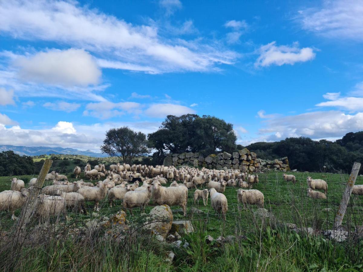 Agriturismo Sa Pigalva Tula Екстериор снимка