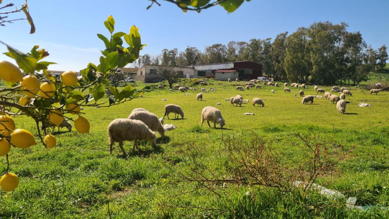Agriturismo Sa Pigalva Tula Екстериор снимка