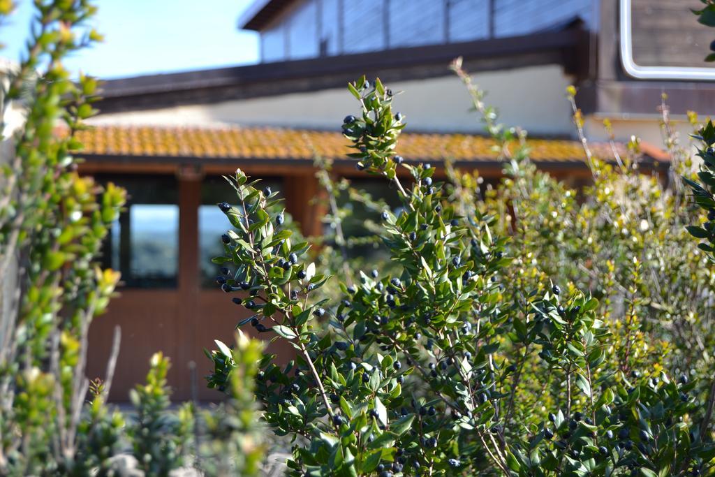 Agriturismo Sa Pigalva Tula Екстериор снимка