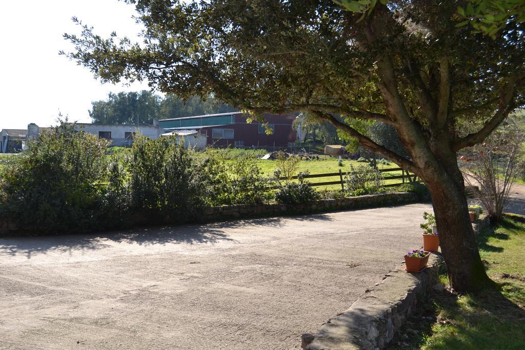 Agriturismo Sa Pigalva Tula Екстериор снимка